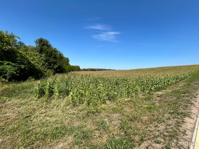 Eladó mezőgazdasági ingatlan Biatorbágy 47000 nm