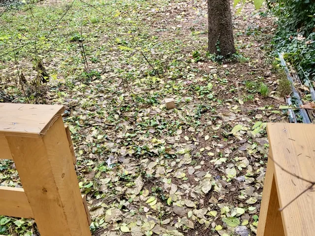 Kiadó lakás Budapest XII. kerület, Németvölgy 33 nm