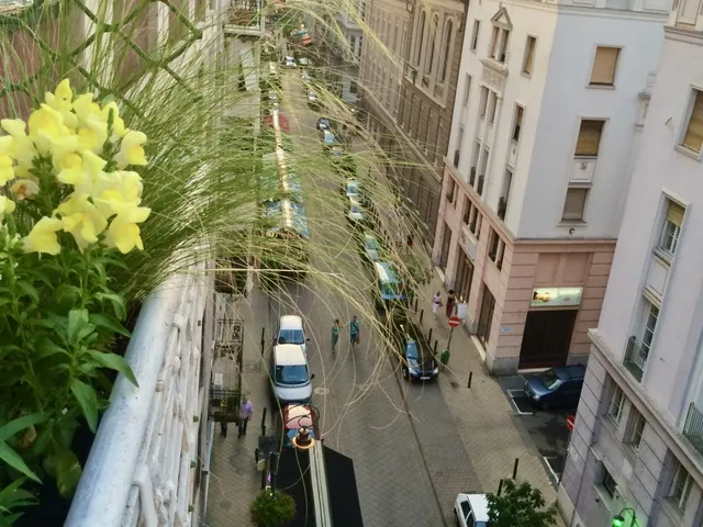 Kiadó lakás Budapest IX. kerület, Belső Ferencváros, Ráday utca 77 nm