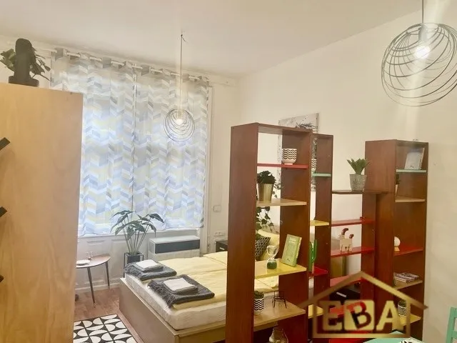 Kiadó lakás Budapest IX. kerület, Belső Ferencváros 34 nm