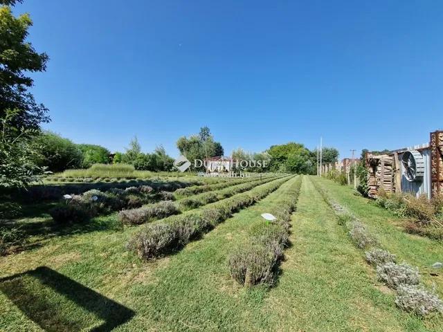 Eladó telek Kecel 8629 nm