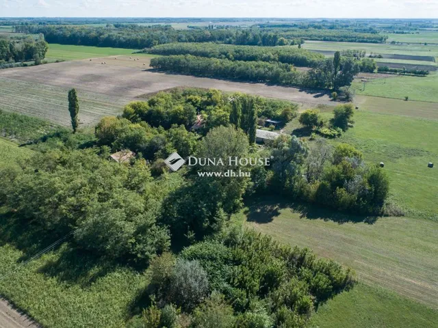 Eladó ház Fülöpháza 250 nm