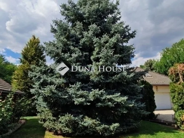 Eladó ház Kecskemét 151 nm