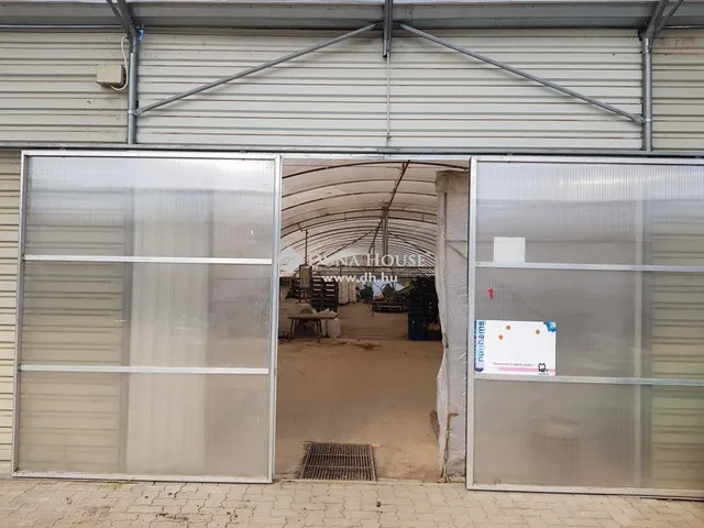 Eladó mezőgazdasági ingatlan Kecskemét 133 nm