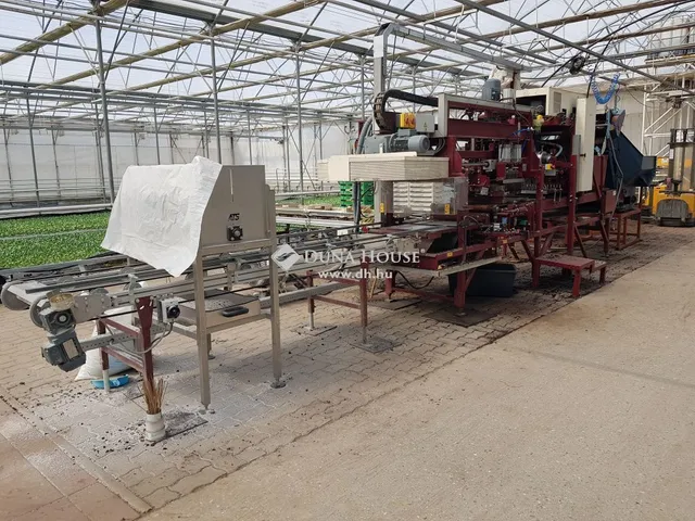 Eladó mezőgazdasági ingatlan Kecskemét 133 nm