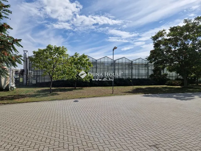 Eladó mezőgazdasági ingatlan Kecskemét 133 nm