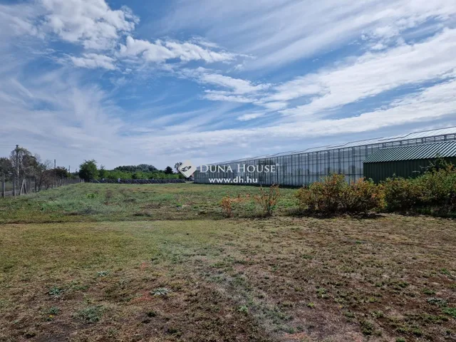Eladó mezőgazdasági ingatlan Kecskemét 133 nm