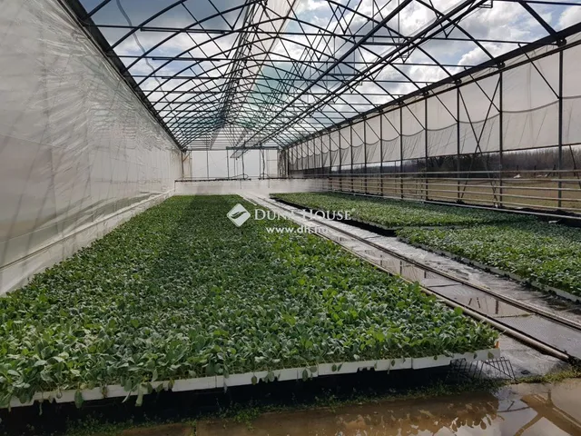 Eladó mezőgazdasági ingatlan Kecskemét 133 nm