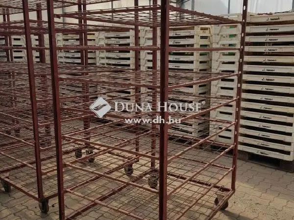 Eladó mezőgazdasági ingatlan Kecskemét 133 nm