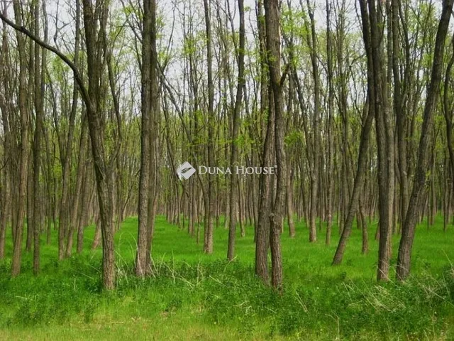 Eladó telek Lakitelek 22068 nm