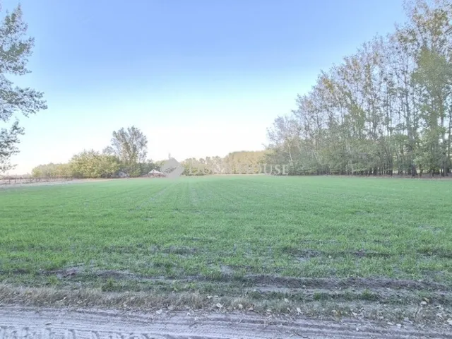 Eladó telek Kecskemét 78325 nm