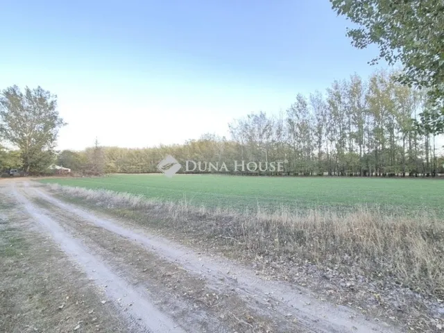 Eladó telek Kecskemét 78325 nm