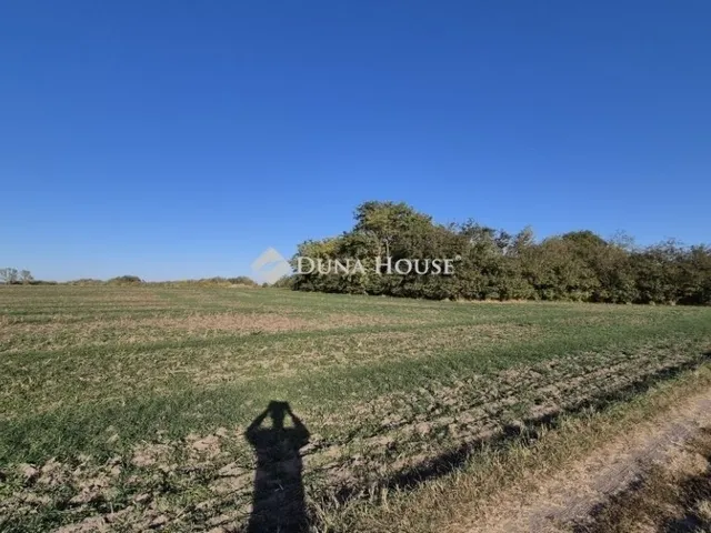 Eladó ház Kecskemét, Katonatelep 90 nm