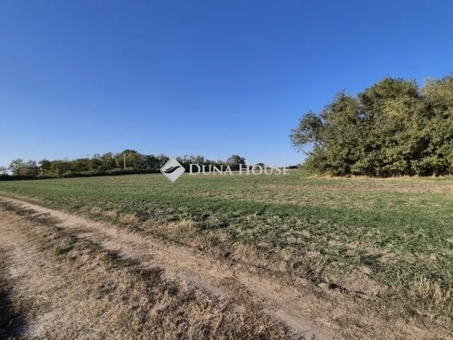 Eladó ház Kecskemét, Katonatelep 90 nm