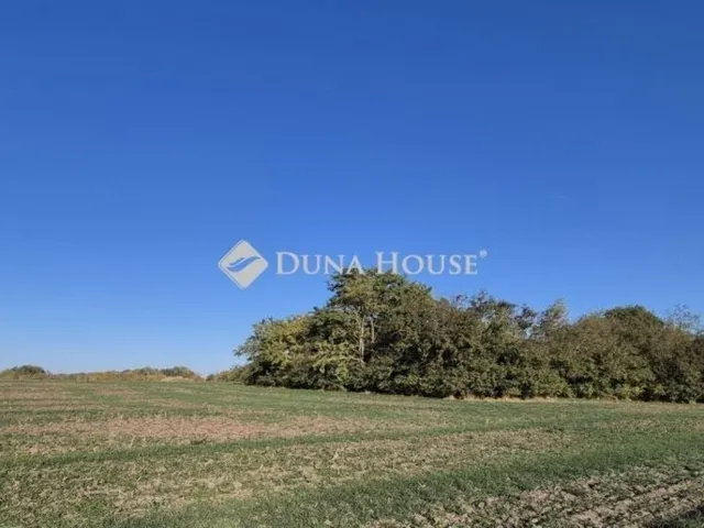 Eladó ház Kecskemét, Katonatelep 90 nm