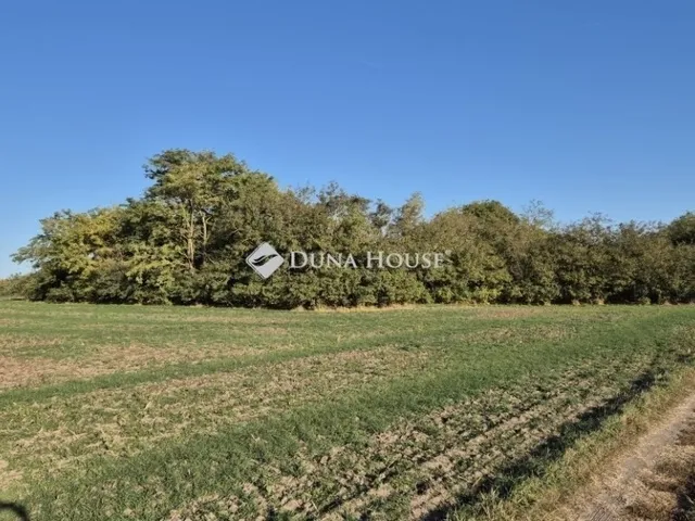 Eladó ház Kecskemét, Katonatelep 90 nm