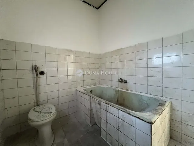 Eladó mezőgazdasági ingatlan Kerekegyháza 110 nm