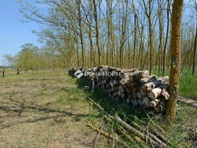 Eladó ház Jakabszállás 60 nm