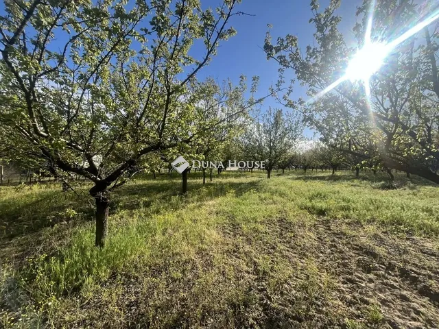 Eladó telek Helvécia 3892 nm