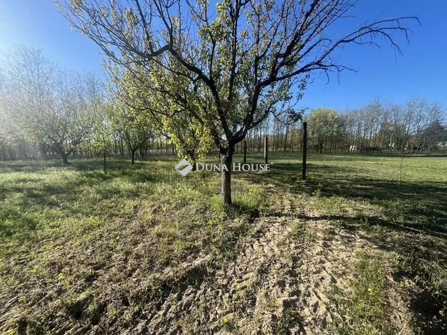 Eladó telek Helvécia 3892 nm