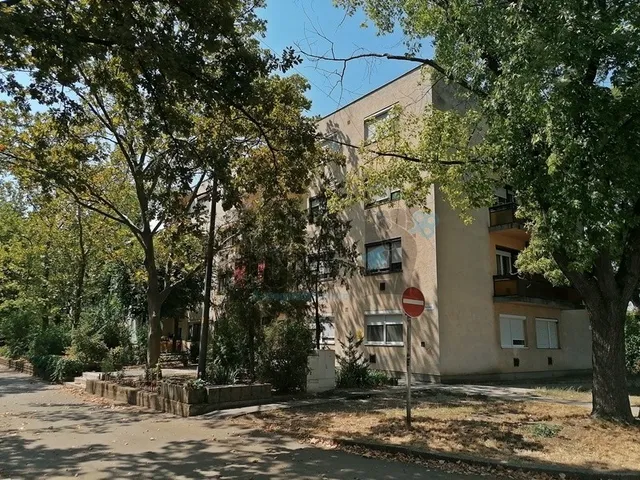 Kiadó lakás Békéscsaba, Belváros 80 nm