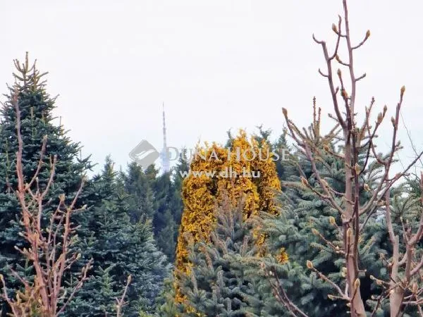 Eladó telek Pécs, Málom 8532 nm