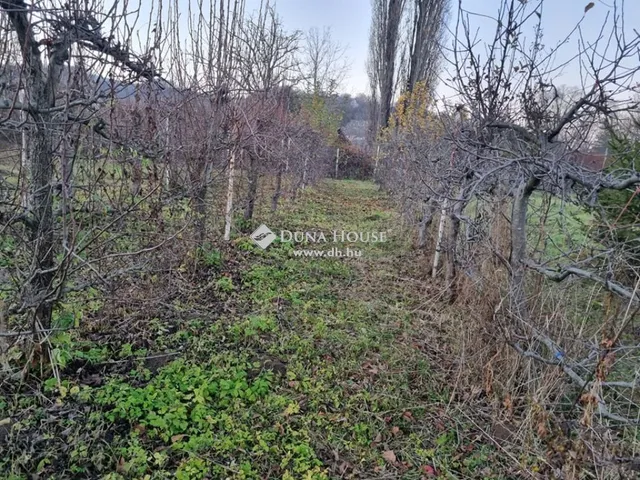 Eladó telek Mecseknádasd 3225 nm