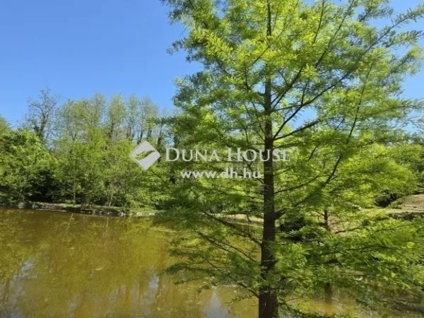 Eladó üdülő és hétvégi ház Vízvár 210 nm