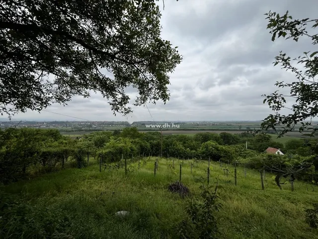 Eladó mezőgazdasági ingatlan Bonyhád 28 nm