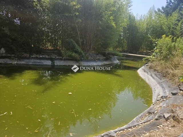 Eladó ház Pogány 285 nm