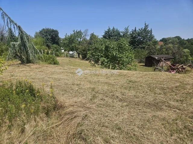 Eladó ház Pogány 285 nm