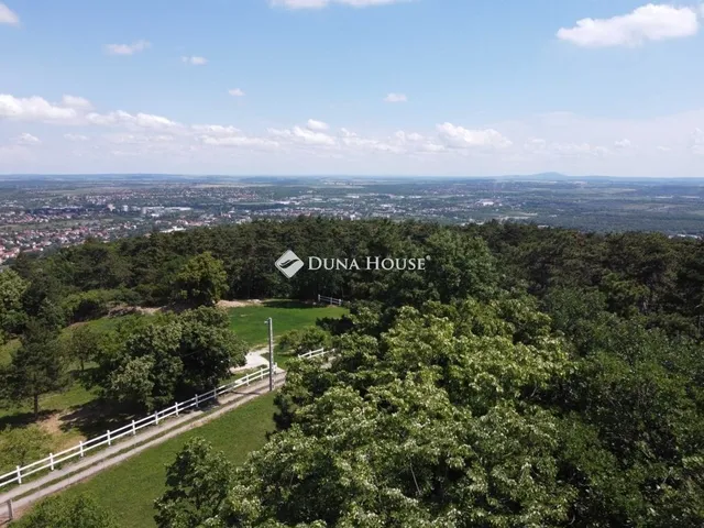 Eladó lakás Pécs 251 nm