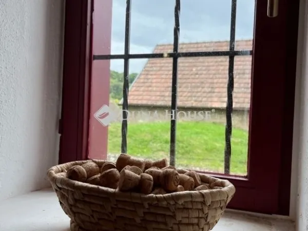 Eladó kereskedelmi és ipari ingatlan Palkonya 40 nm