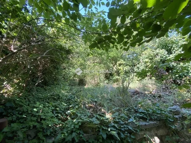 Eladó ház Szekszárd 164 nm