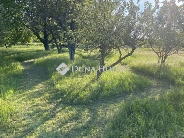 Eladó mezőgazdasági ingatlan Szekszárd 70 nm