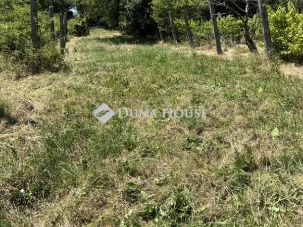 Eladó telek Kővágószőlős 2740 nm