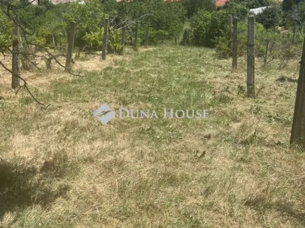 Eladó telek Kővágószőlős 2740 nm