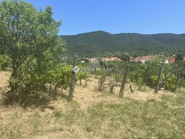 Eladó telek Kővágószőlős 2740 nm