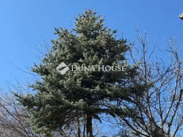 Eladó ház Harkány 100 nm