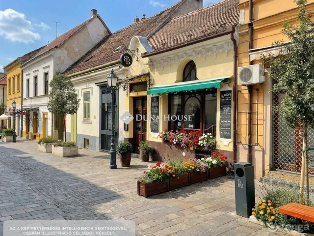 Eladó ház Pécs, Belváros 200 nm