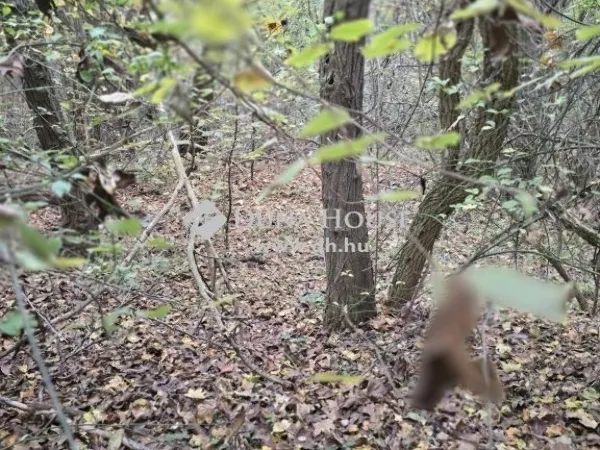 Eladó telek Pécs 3238 nm