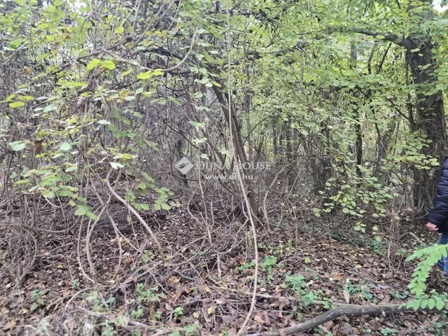 Eladó telek Pécs 3238 nm