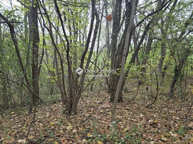 Eladó telek Pécs 3238 nm