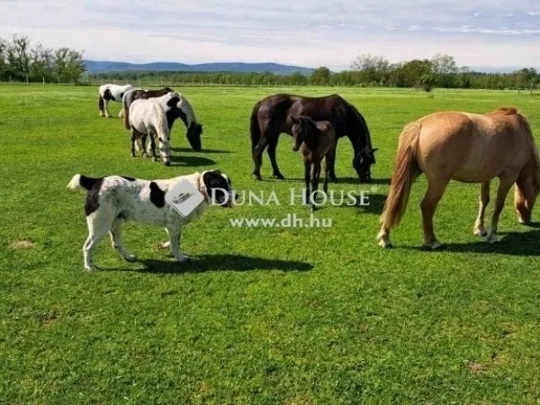 Eladó ház Egerág 178 nm