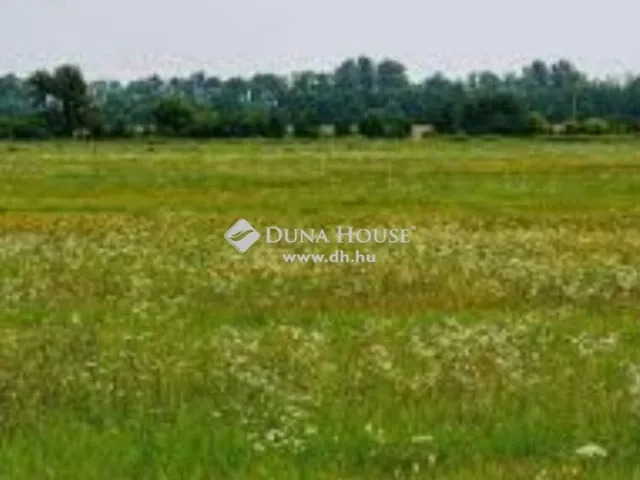 Eladó telek Regenye 14352 nm
