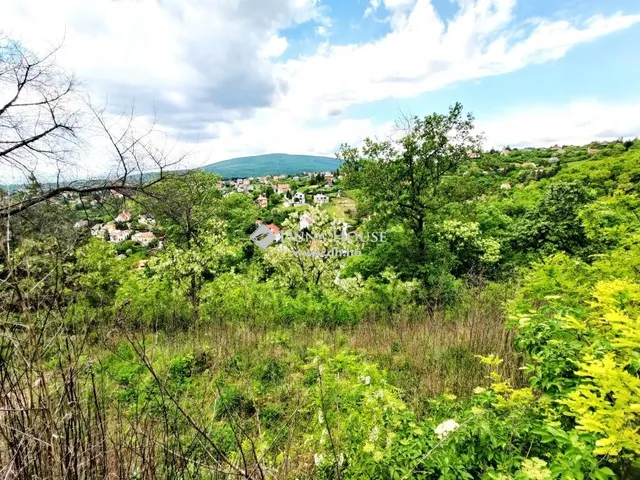 Eladó telek Pécs, Mecsekoldal 3500 nm