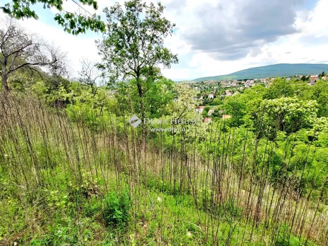 Eladó telek Pécs, Mecsekoldal 3500 nm