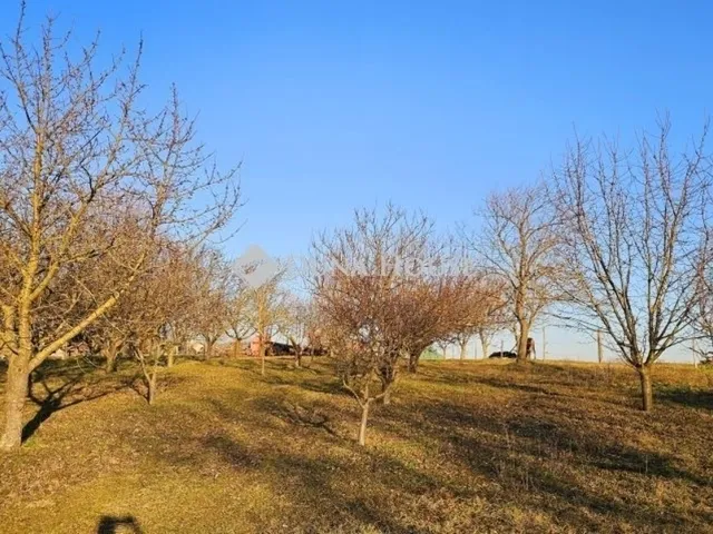 Eladó mezőgazdasági ingatlan Egerág 178 nm