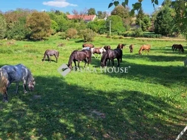 Eladó mezőgazdasági ingatlan Egerág 178 nm