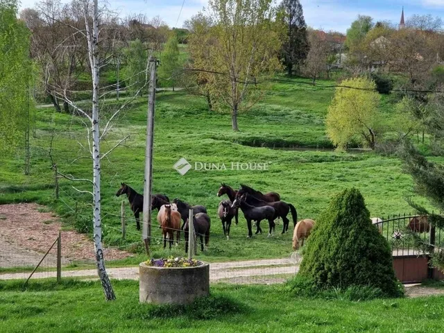 Eladó mezőgazdasági ingatlan Egerág 178 nm
